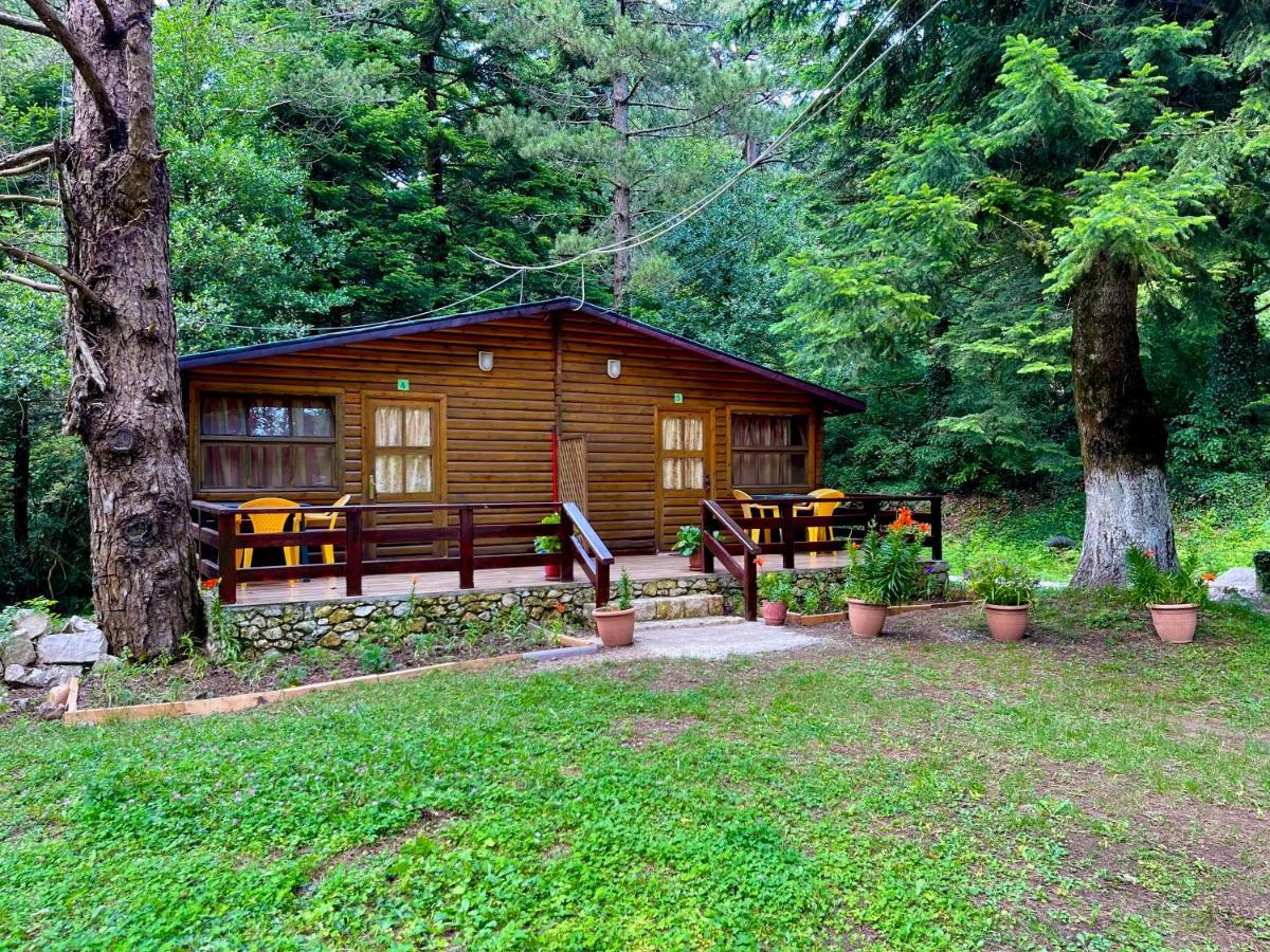 Villa Uji I Panjes Llogara Vlorë Exterior foto